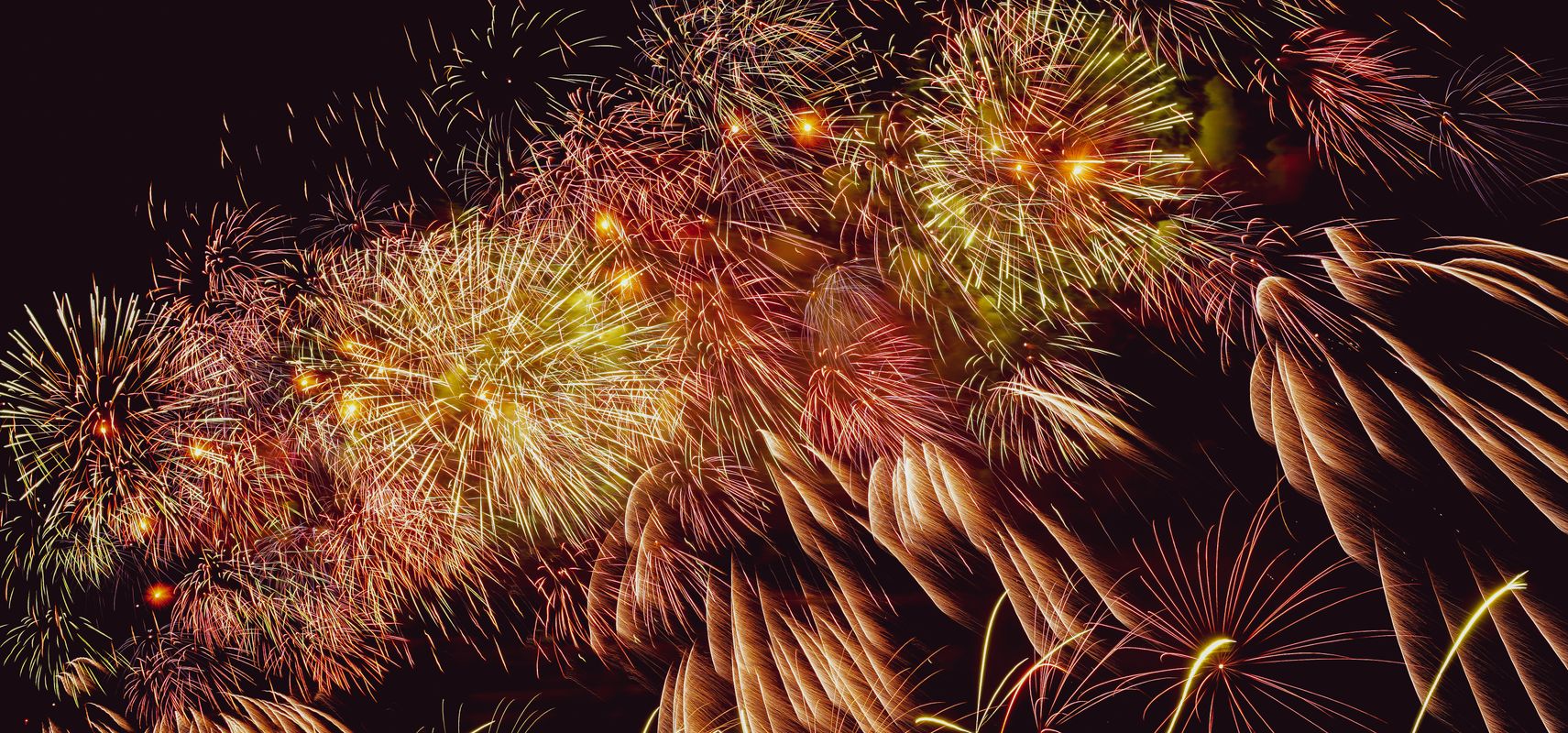 Photo 98