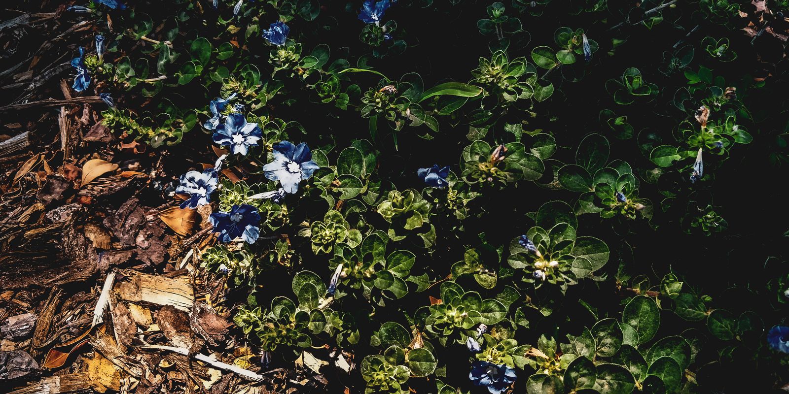Photo 200