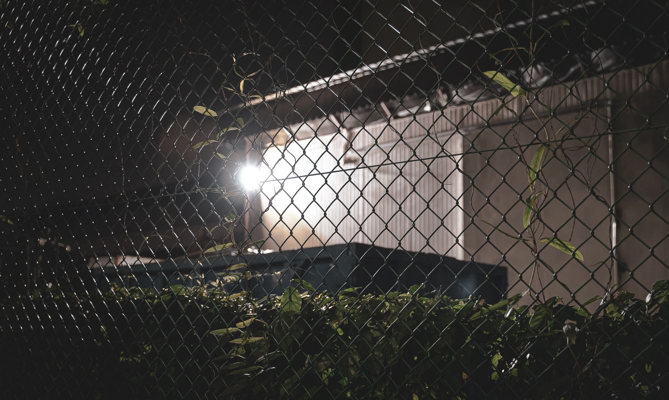 Photo 365