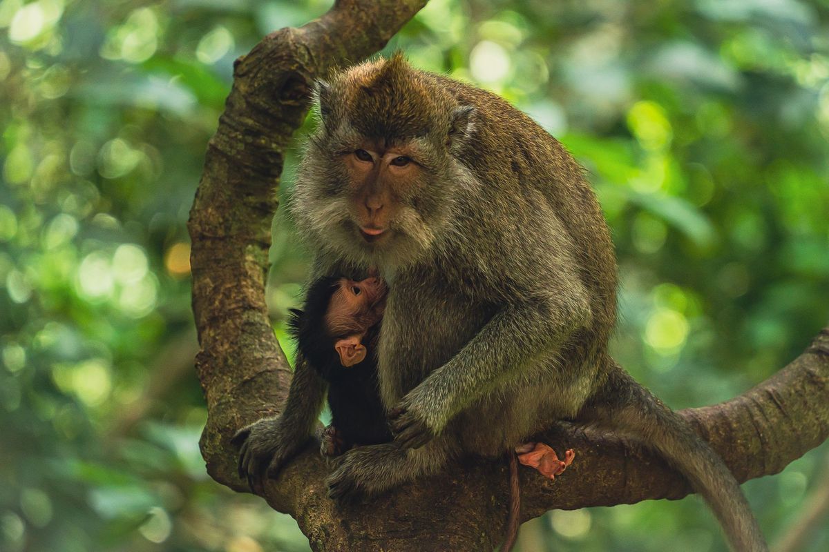 Photo 865
